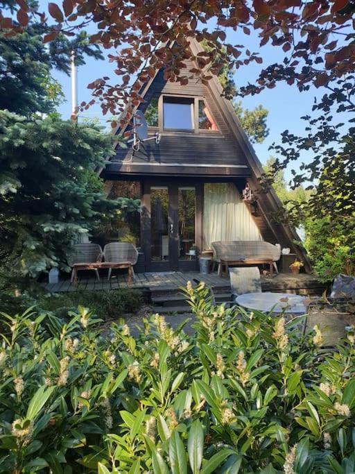 Villa Nurdachhaus Mit Kaminofen Und Grossem Grundstueck Faßberg Exterior foto
